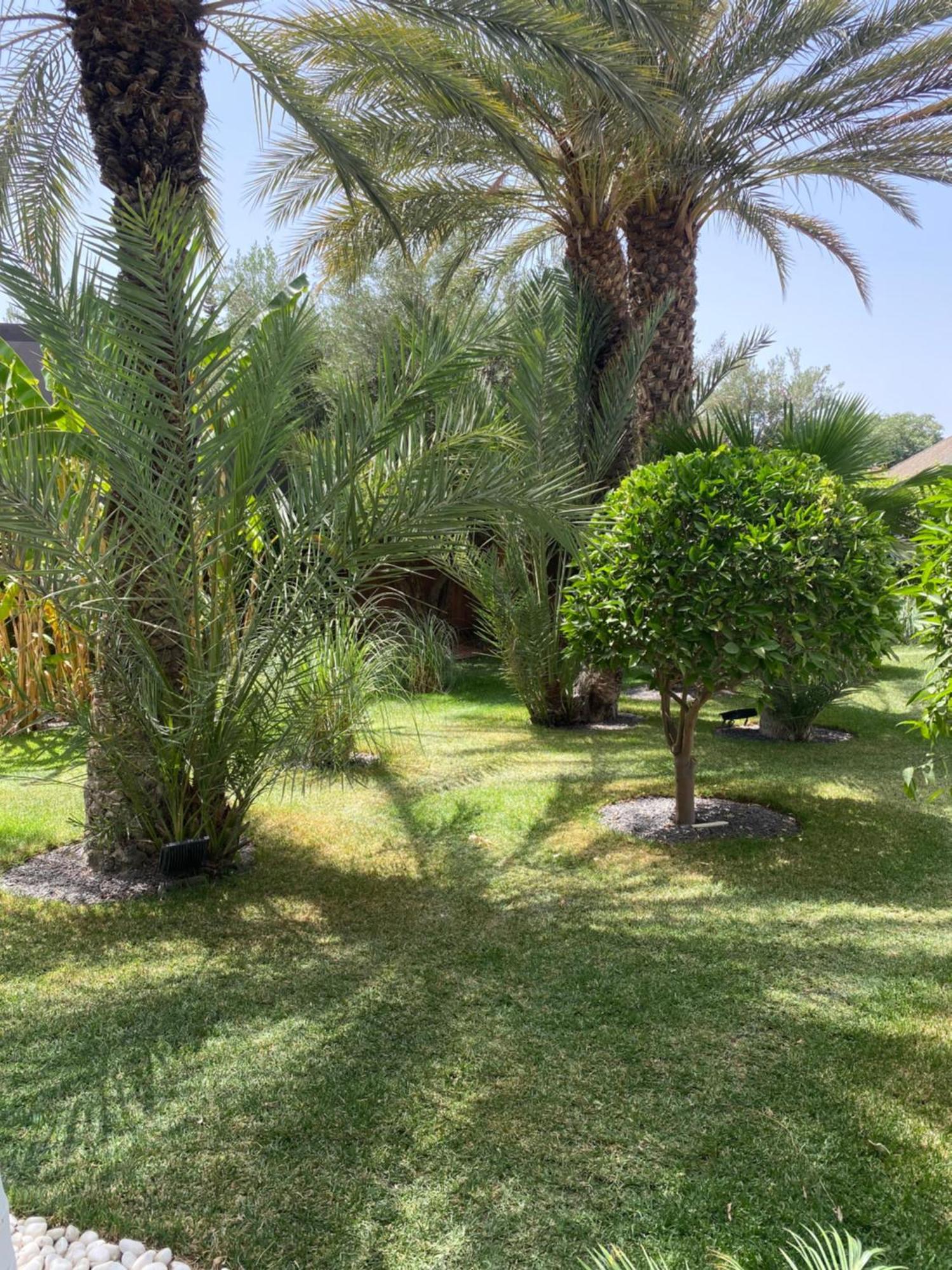 Villa Mano Lagouassem Bagian luar foto