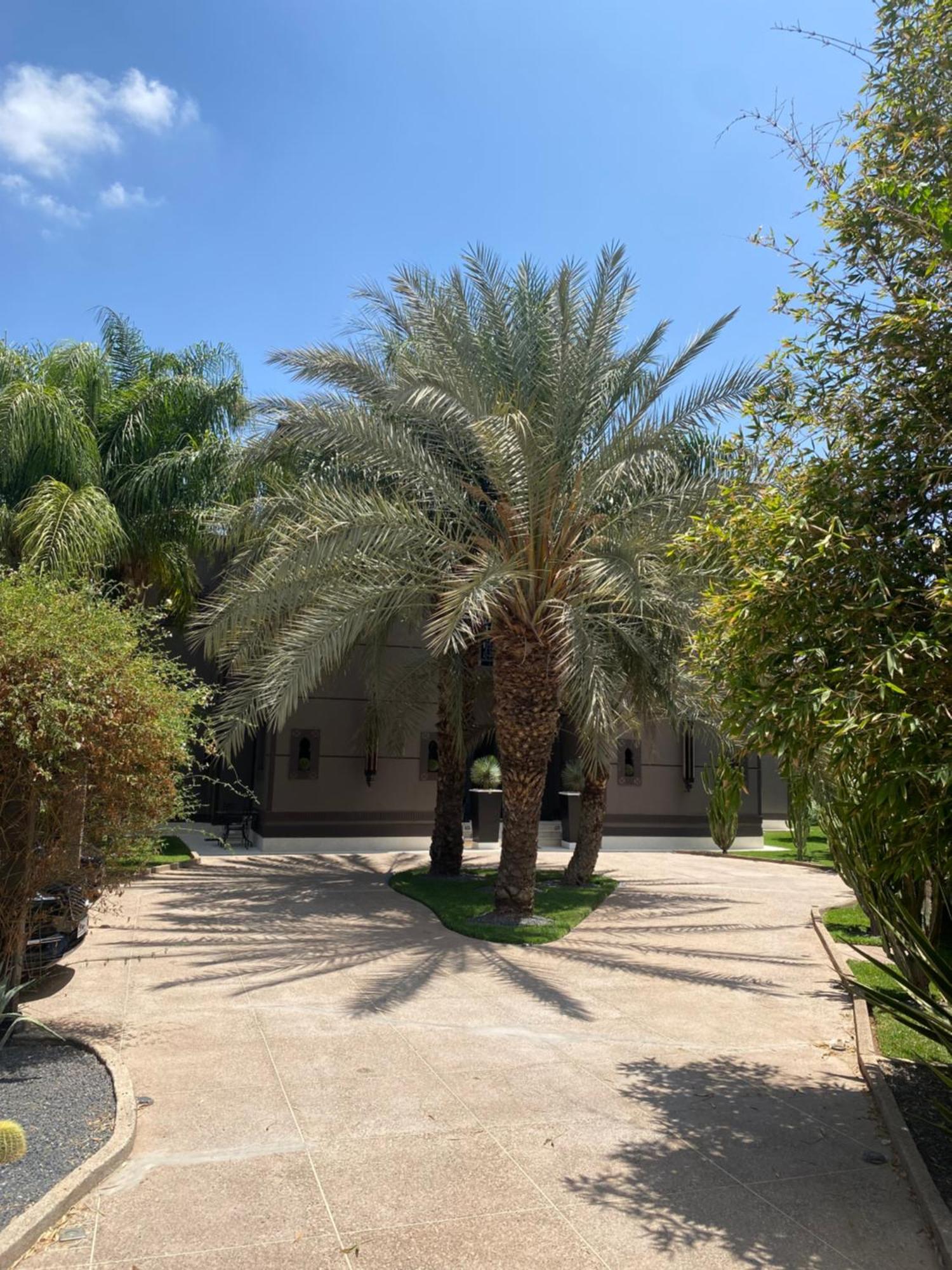 Villa Mano Lagouassem Bagian luar foto