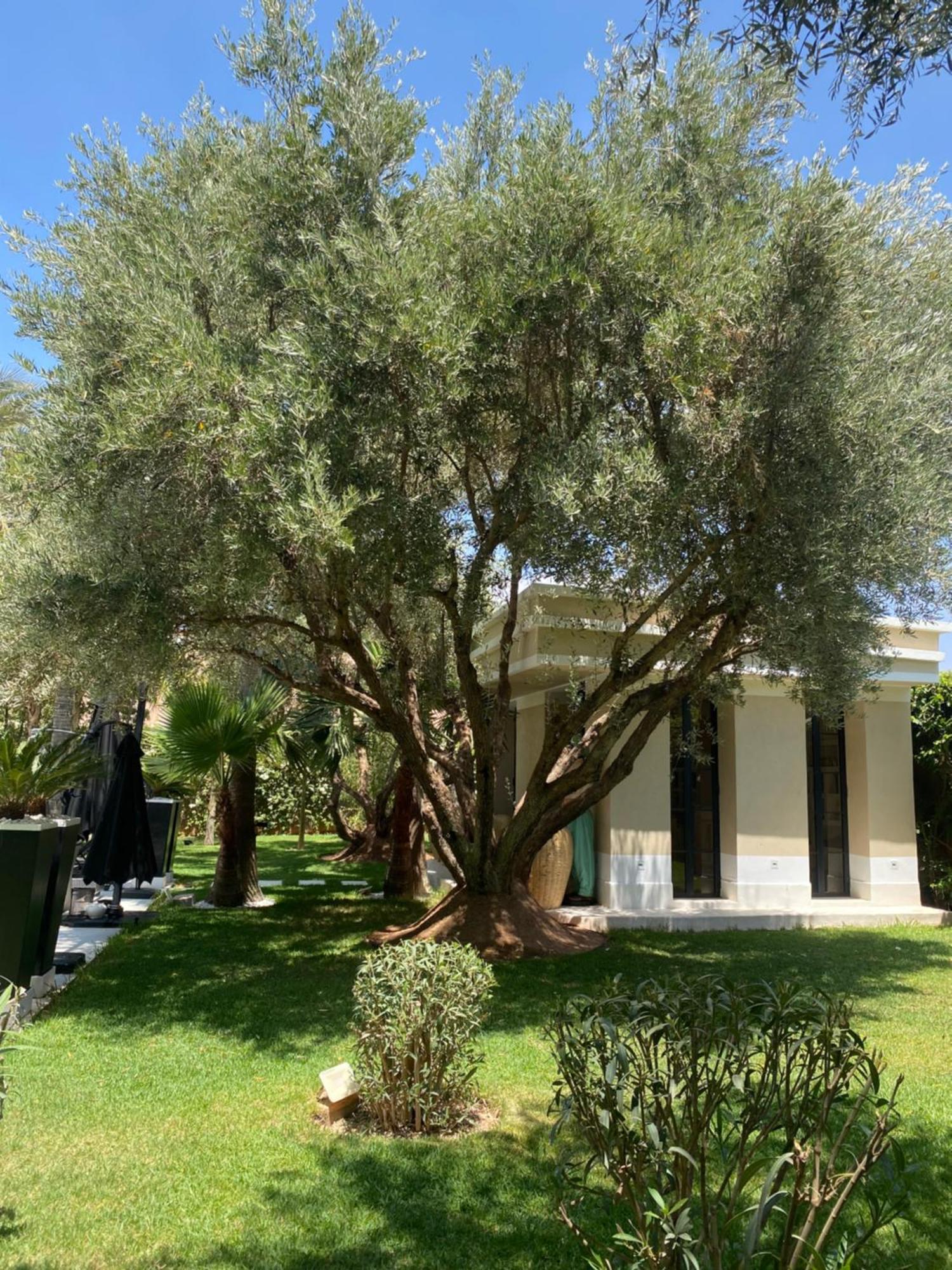 Villa Mano Lagouassem Bagian luar foto