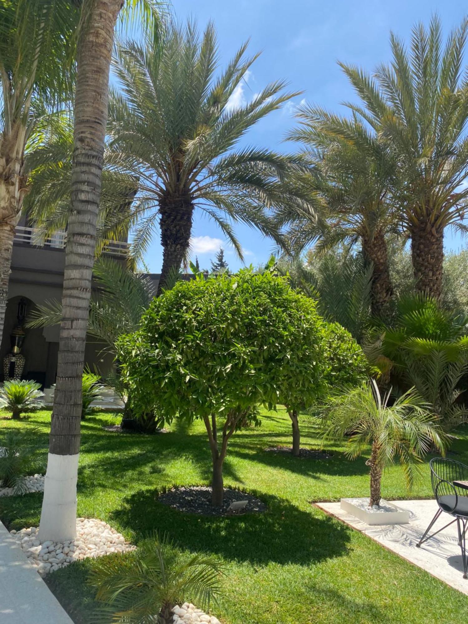 Villa Mano Lagouassem Bagian luar foto
